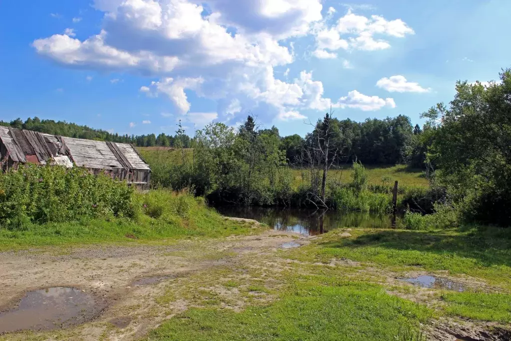 Участок в Карелия, Лахденпохский муниципальный округ, пос. Харвиа  ... - Фото 2