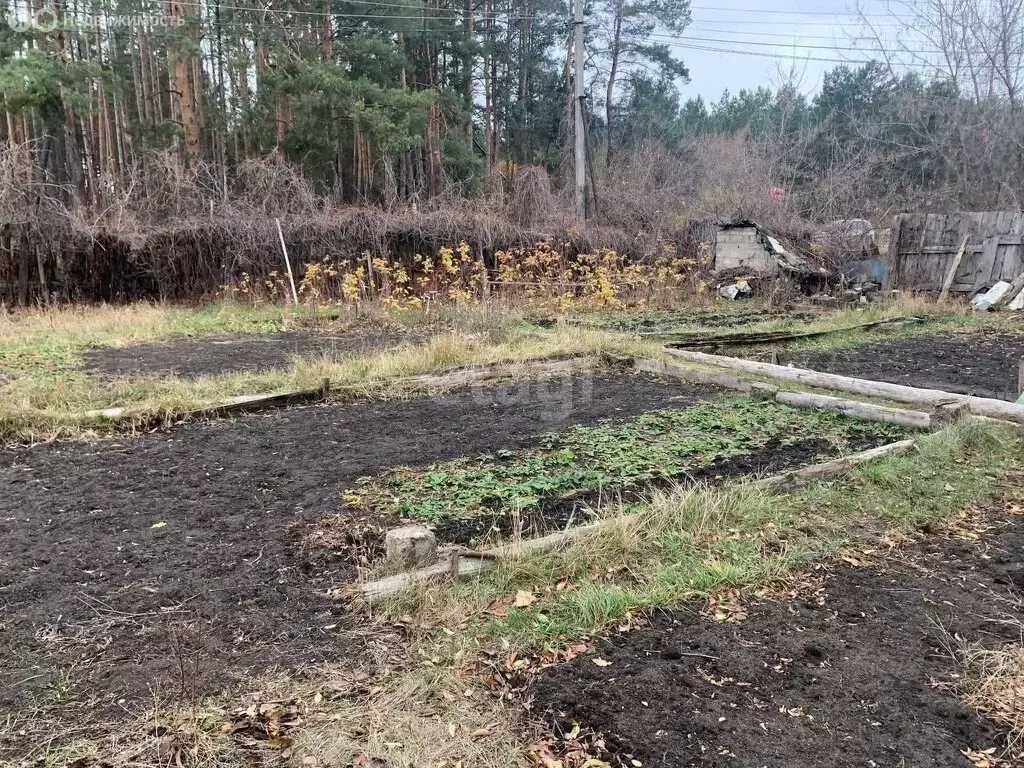 Участок в Воронеж, СНТ Садовод ВАСО (6 м) - Фото 0