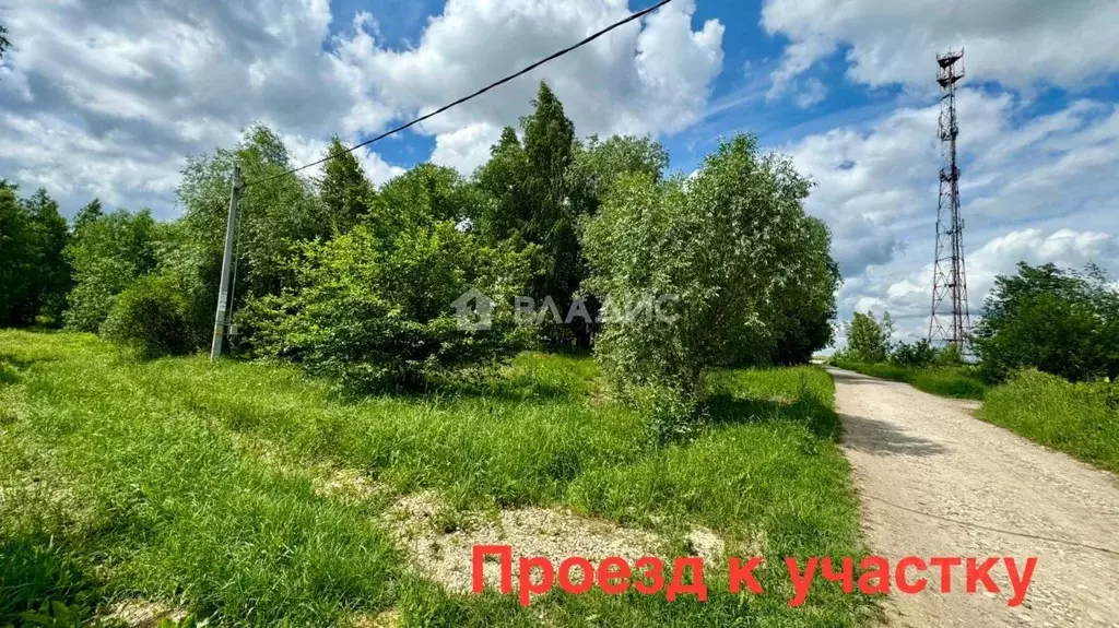 Участок в Московская область, Коломна городской округ, с. Белые ... - Фото 1