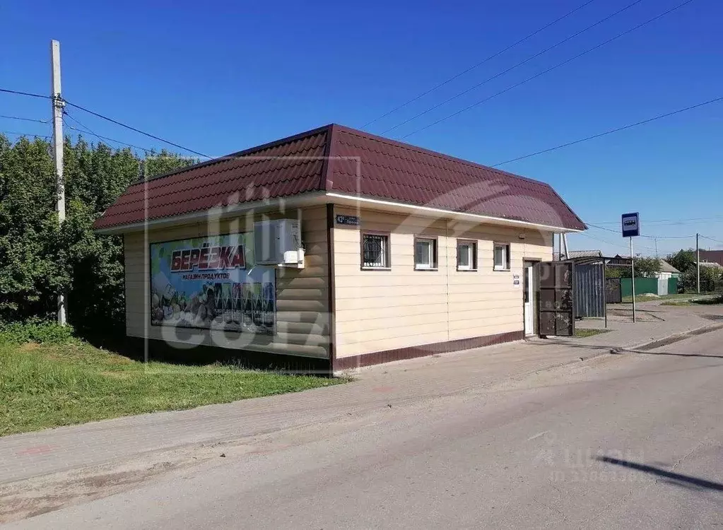 Торговая площадь в Воронежская область, Рамонский район, с. Березово ... - Фото 2