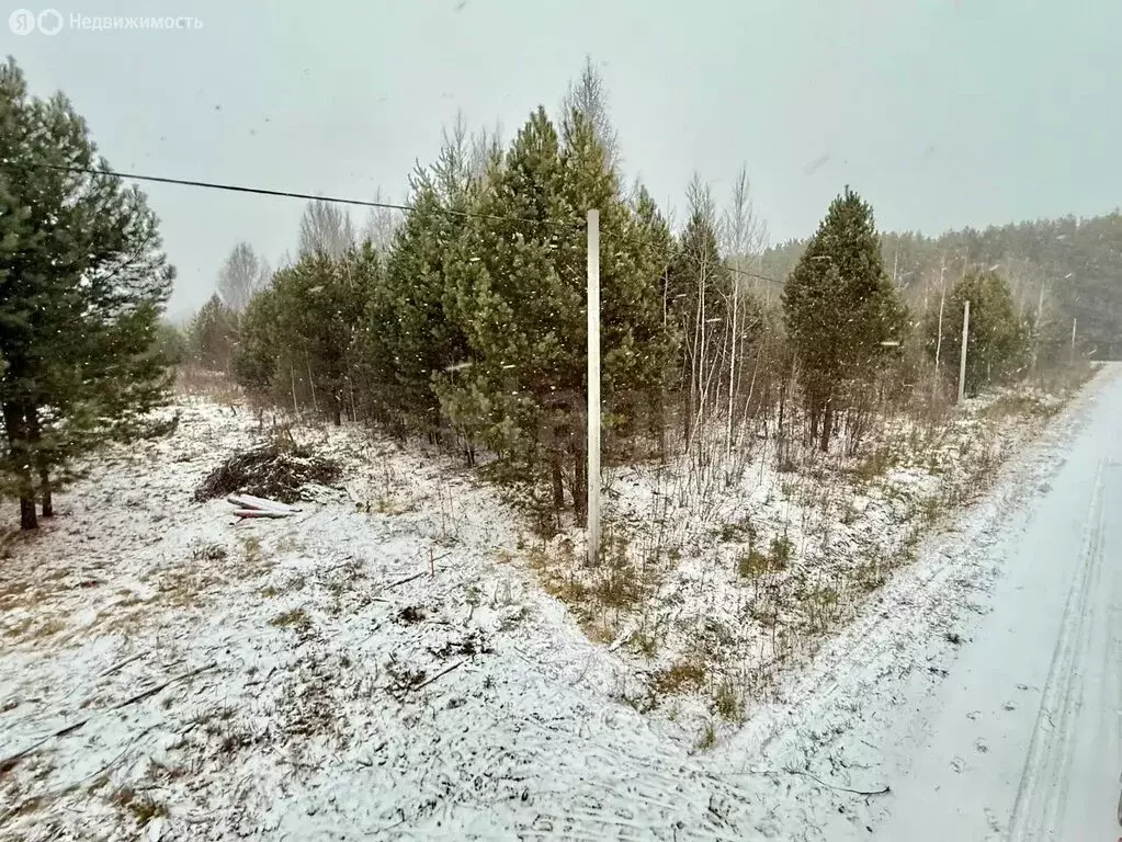 Участок в Карачино, улица Дружбы (24 м) - Фото 1