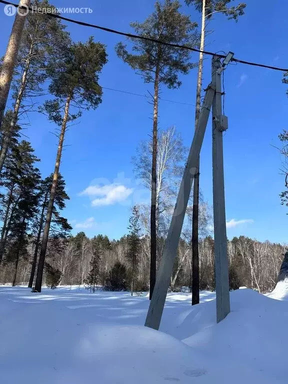 Участок в Кубовинский сельсовет, ДНТ Царская Усадьба (12 м) - Фото 2