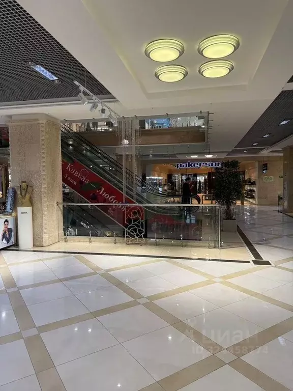 Торговая площадь в Свердловская область, Екатеринбург просп. Ленина, ... - Фото 2