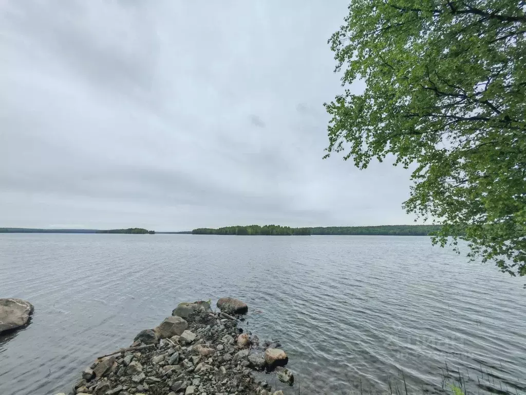 Участок в Карелия, Кондопожский район, Новинское с/пос, д. Голышева ... - Фото 2