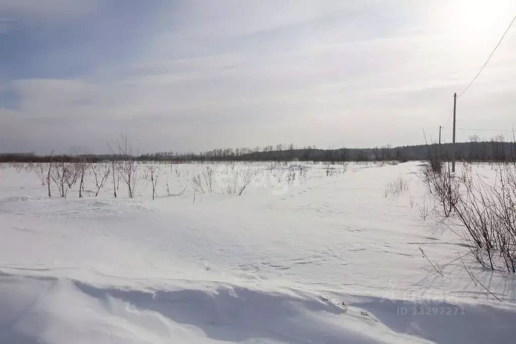 Участок в Свердловская область, Горноуральский городской округ, с. ... - Фото 0