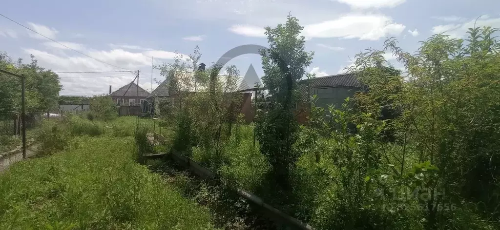 Участок в Краснодарский край, Апшеронск пер. Калинина (5.32 сот.) - Фото 1