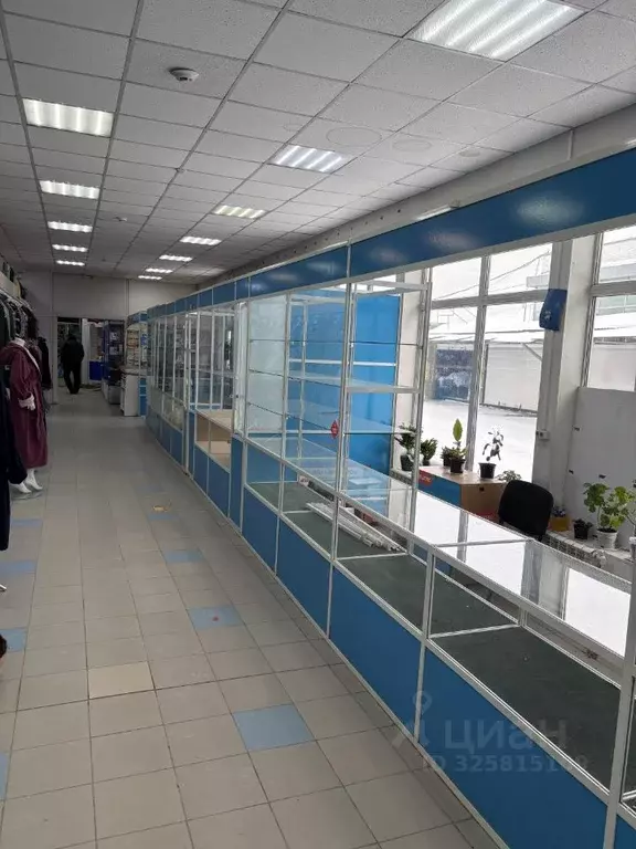 Торговая площадь в Алтайский край, Барнаул ул. Пионеров, 13Б (35 м) - Фото 1