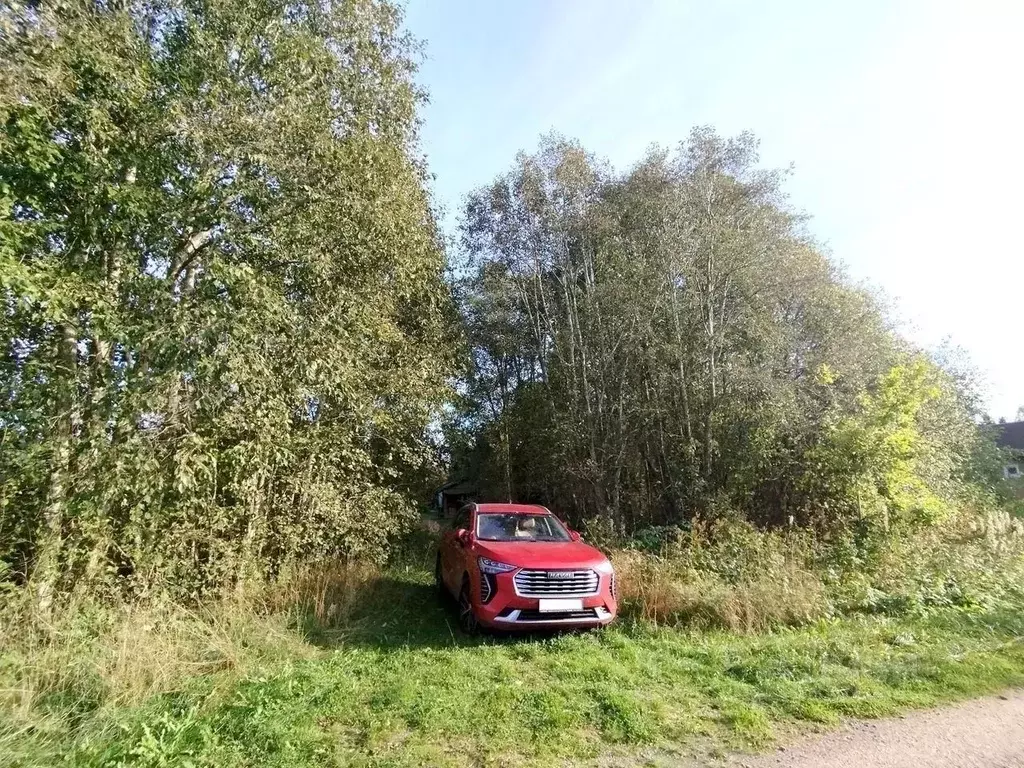 Участок в Ленинградская область, Приозерский район, Плодовское с/пос, ... - Фото 2