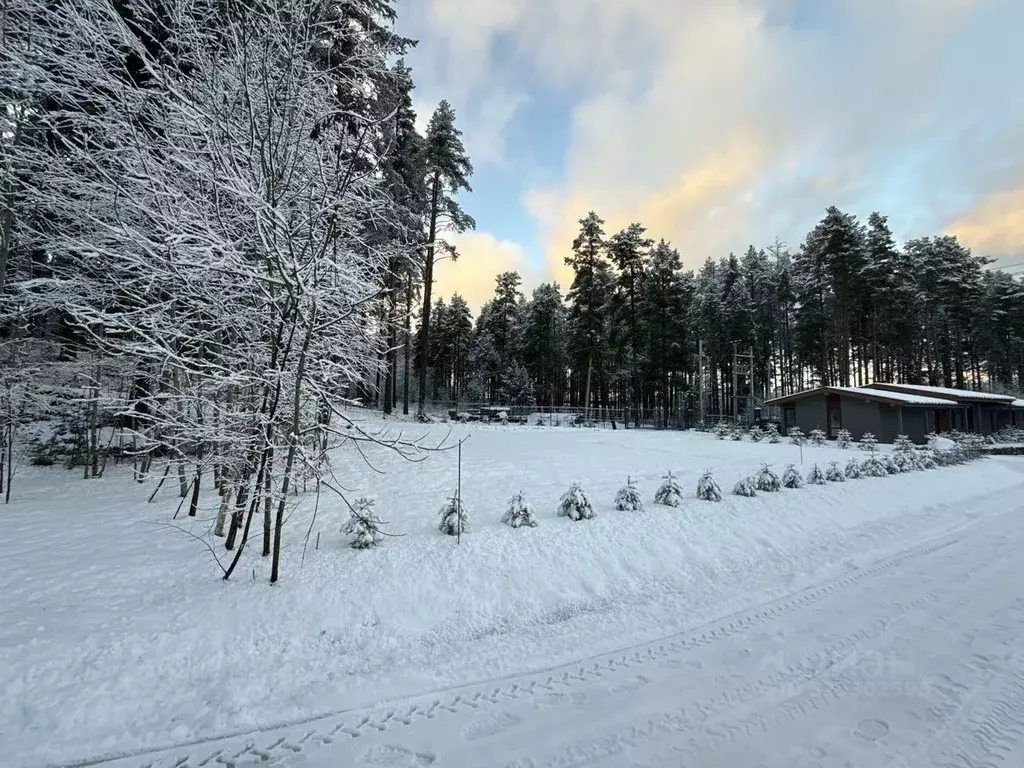 Участок в Ленинградская область, Всеволожский район, Куйвозовское ... - Фото 1