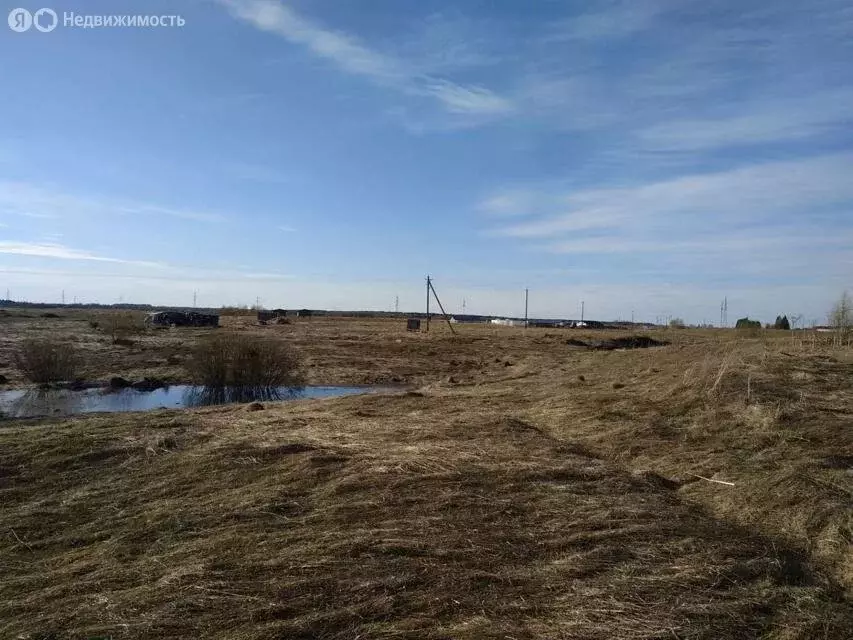 Участок в Рабитицкое сельское поселение, деревня Заполье (22 м) - Фото 1