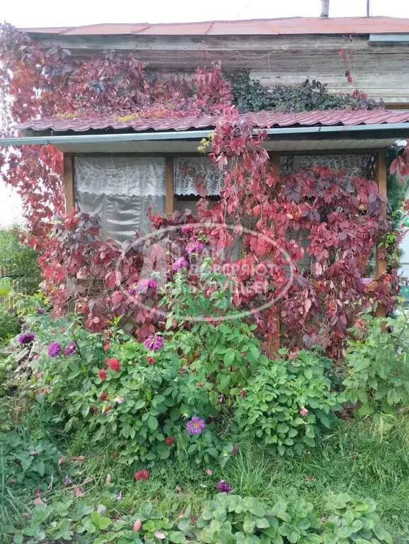 Дом в Лысьва, улица Кострова, 8 (35.7 м) - Фото 1