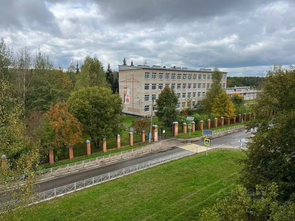 1-к кв. Московская область, Талдомский городской округ, Запрудня пгт ... - Фото 2