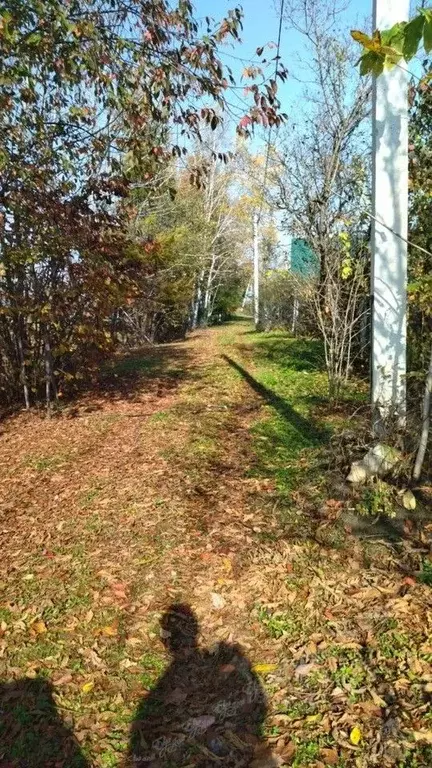 Участок в Еврейская автономная область, Биробиджанский район, ... - Фото 2