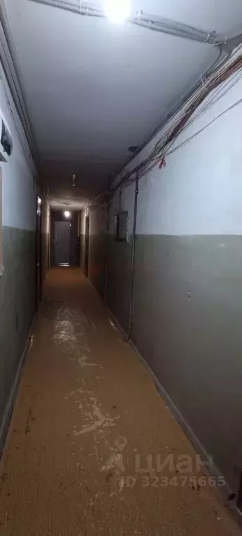 Комната Ростовская область, Ростов-на-Дону ул. Штахановского, 12/1 ... - Фото 1