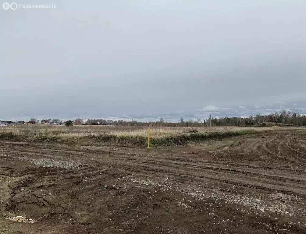 Участок в Фирсово, улица Максима Горького, 11 (10.65 м) - Фото 1
