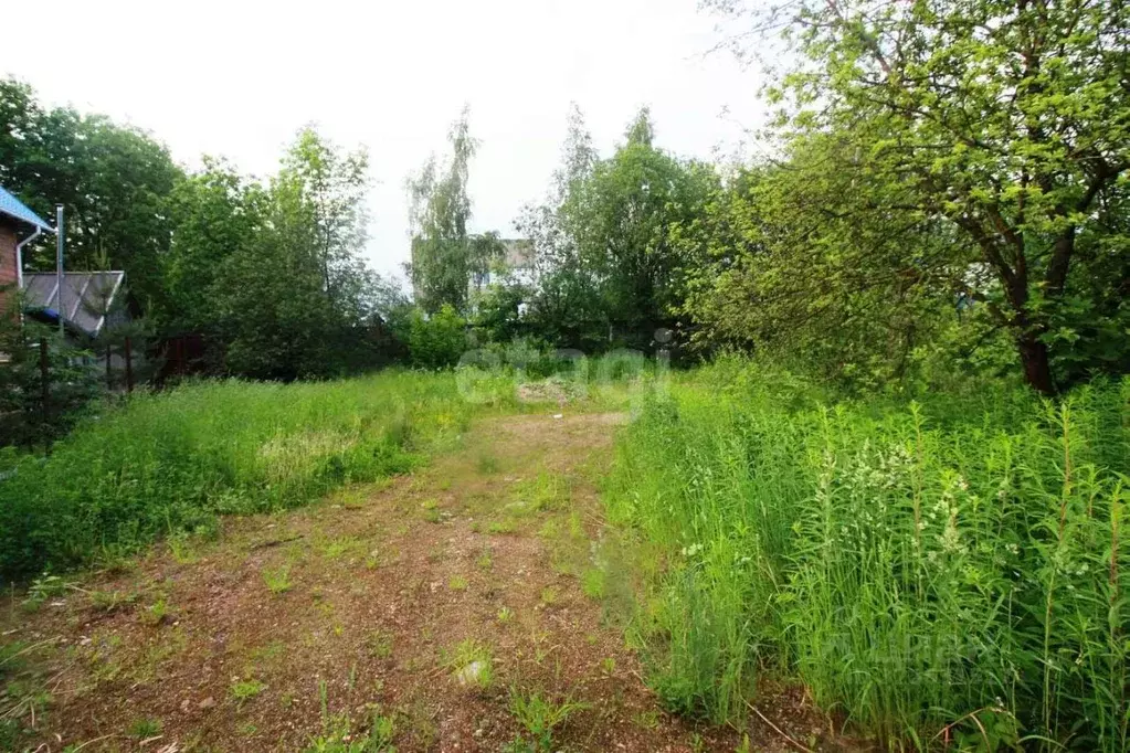 Дом в Вологодская область, Шексна рп, Шексна Северная мкр ул. ... - Фото 2