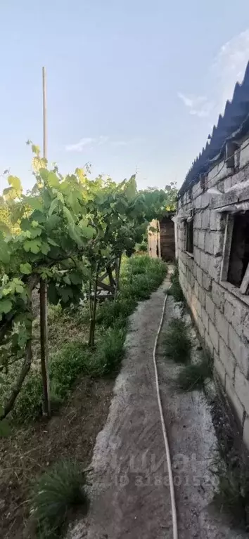 Дом в Ставропольский край, Предгорный муниципальный округ, пос. ... - Фото 0
