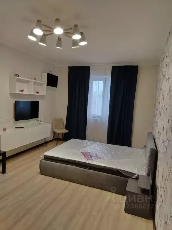 1-к кв. Московская область, Красногорск городской округ, Путилково пгт ... - Фото 2