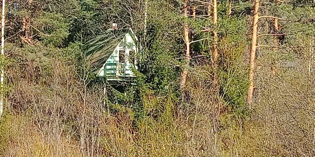 Дом в Карелия, Лахденпохский муниципальный округ  (50 м) - Фото 1