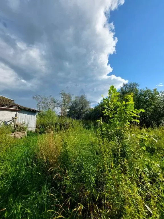 Участок в Нижегородская область, Богородский муниципальный округ, с. ... - Фото 0
