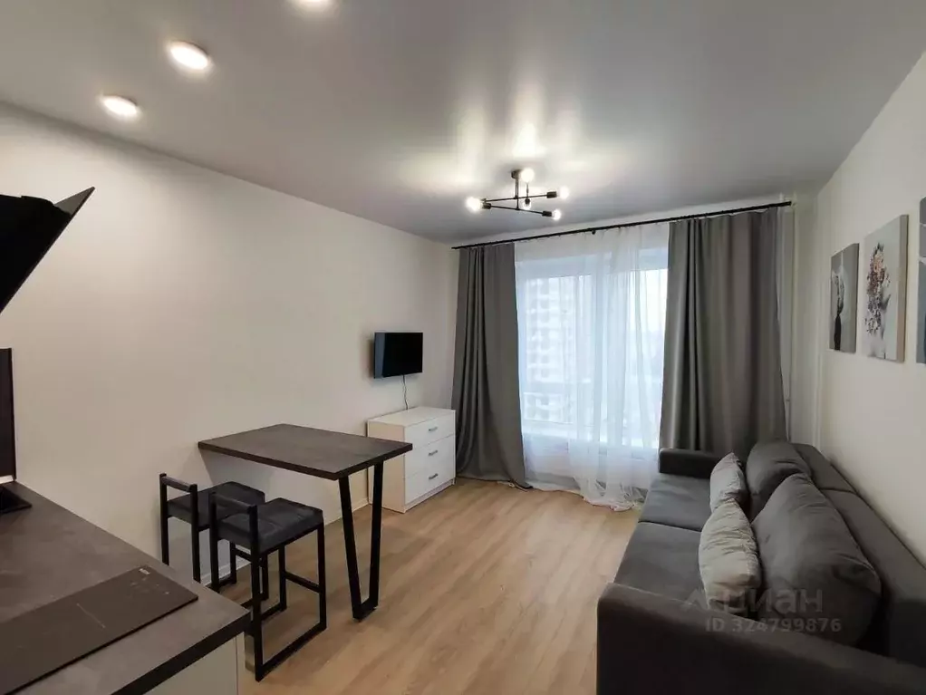 Студия Московская область, Одинцово ул. Каштановая, 14к1 (20.0 м) - Фото 2