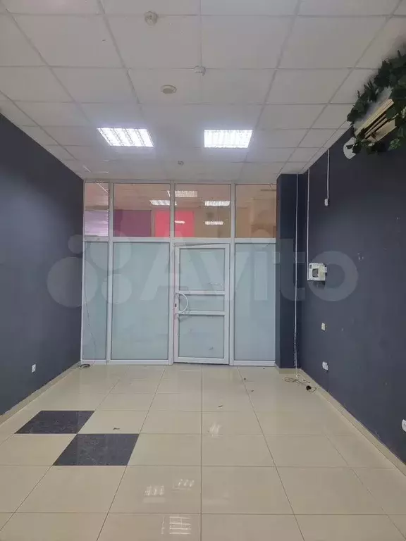 Свободного назначения, 24.8 м - Фото 0