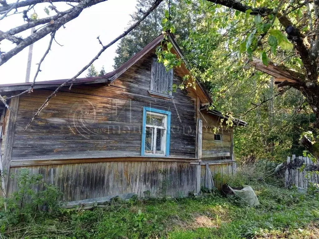 Участок в Ленинградская область, Кингисеппский район, Опольевское ... - Фото 1