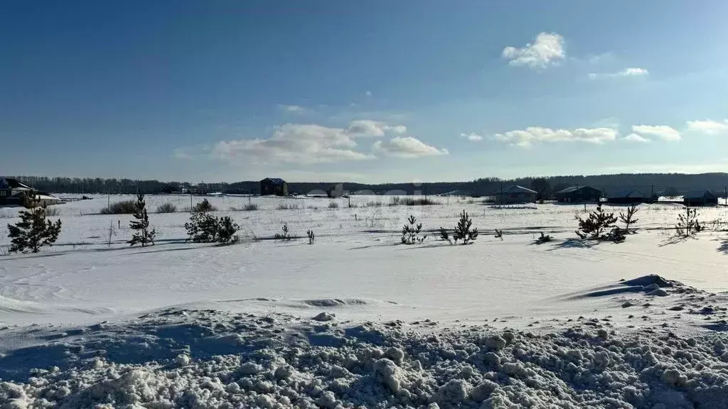 Участок в Татарстан, Бавлы ул. Шарипова (10.0 сот.) - Фото 1