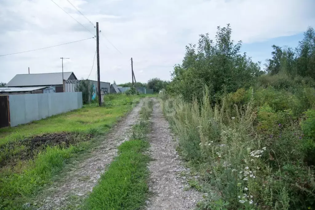 Участок в Новосибирская область, Искитим Зеленый Бор садовое ... - Фото 0