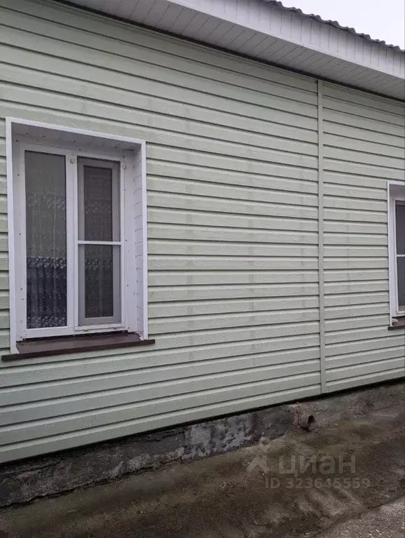 Дом в Самарская область, Ставропольский район, Тимофеевка с/пос, с. ... - Фото 2