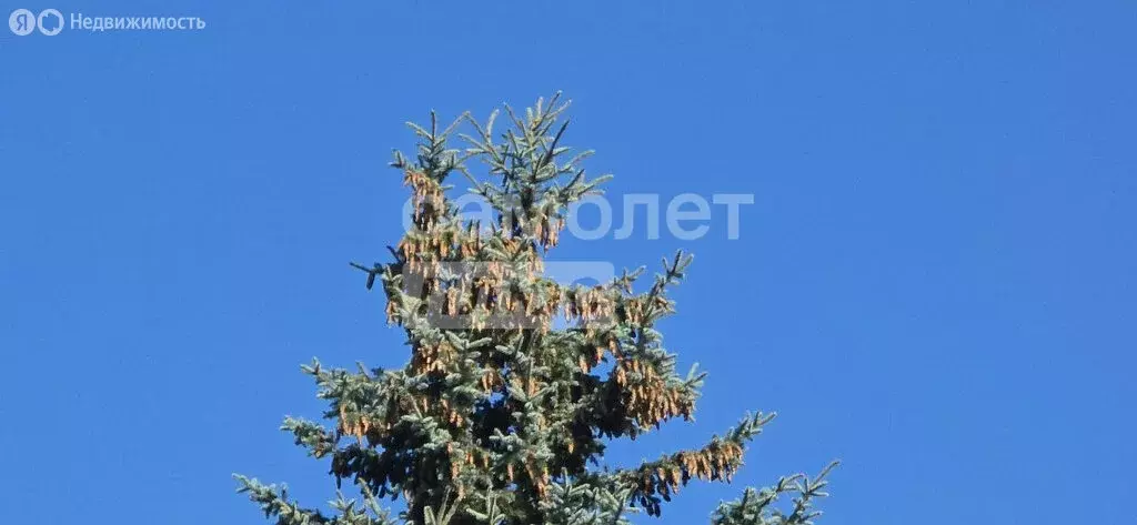 Дом в Селятино, Солнечная улица, 15 (72 м) - Фото 2