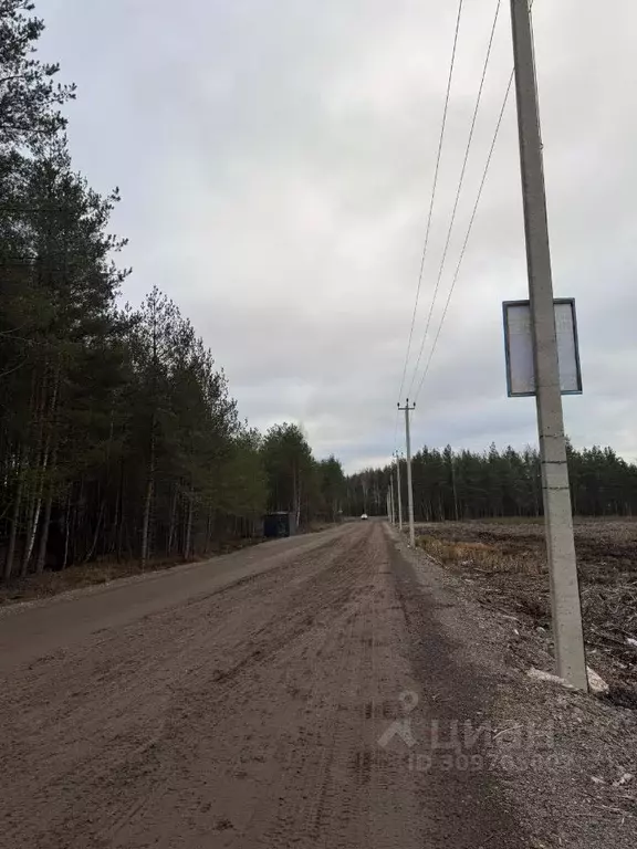 Участок в Ленинградская область, Всеволожск Щегловское Раздолье кп,  ... - Фото 1