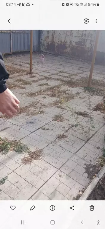 Дом в Саратовская область, Саратов проезд 6-й Строительный (35 м) - Фото 2