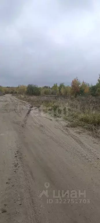 Участок в Брянская область, Брянск Фосфоритная ул. (14000.0 сот.) - Фото 1