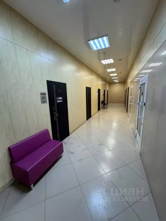 Офис в Белгородская область, Белгород ул. Пирогова, 45 (21 м) - Фото 2