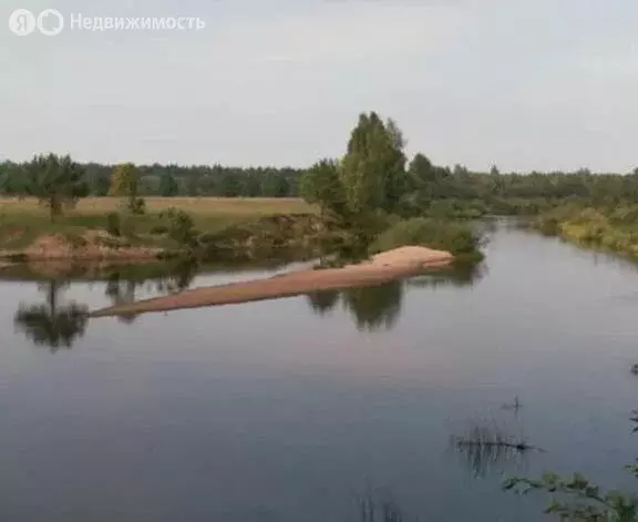 Участок в Тверская область, Рамешковский муниципальный округ, деревня ... - Фото 1
