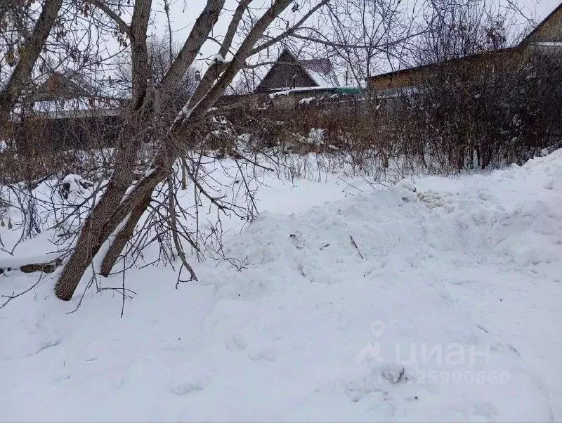 Участок в Оренбургская область, Оренбург Энергостроитель СНТ, ул. ... - Фото 2