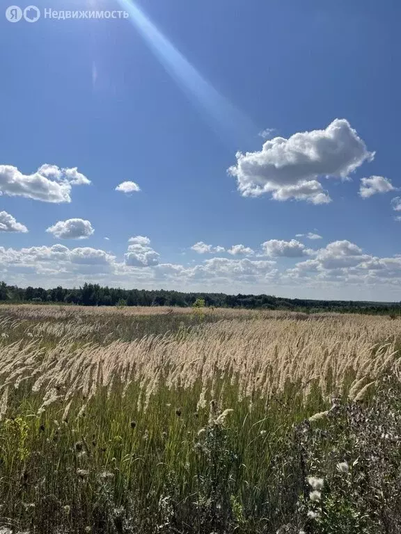 участок в нижегородская область, богородский муниципальный округ, . - Фото 1