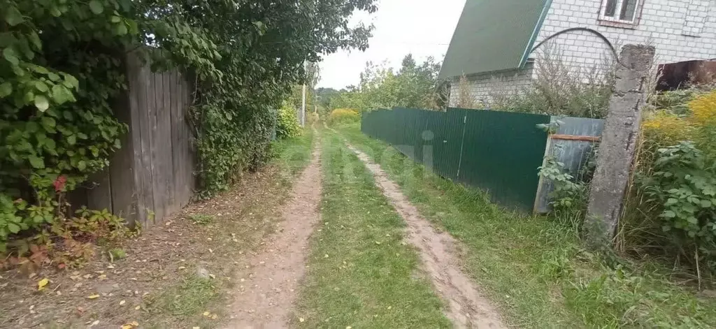 Участок в Брянская область, Брянский район, Мичуринское с/пос, ... - Фото 2