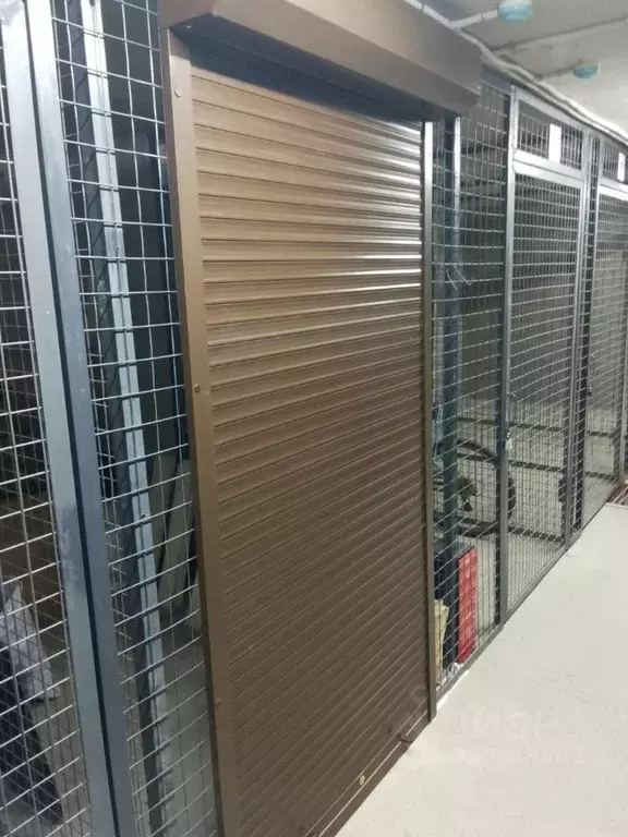 Гараж в Санкт-Петербург пос. Стрельна, ул. Константина Тимошинина, 5 ... - Фото 1