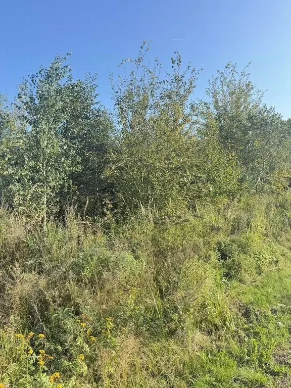 Участок в Ленинградская область, Кировский район, Павловское городское ... - Фото 2