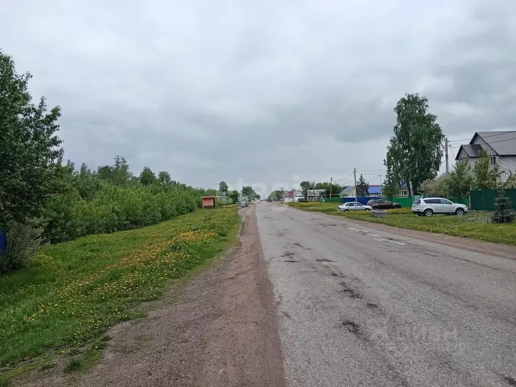 Участок в Башкортостан, Стерлитамакский район, Красноярский сельсовет, ... - Фото 2