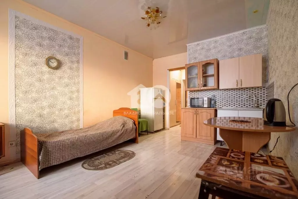 Студия Новосибирская область, Новосибирский район, Каменский ... - Фото 1