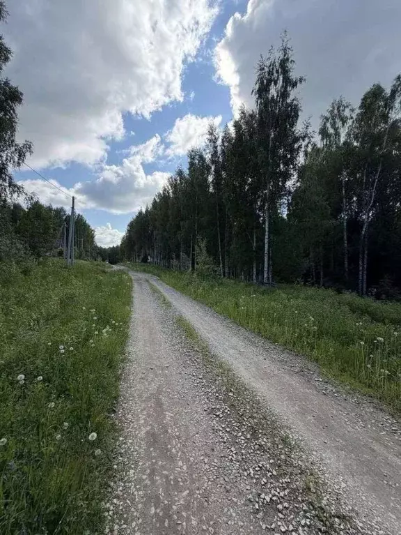 Участок в Удмуртия, Ижевск ул. Михаила Рябова, 35 (17.29 сот.) - Фото 2