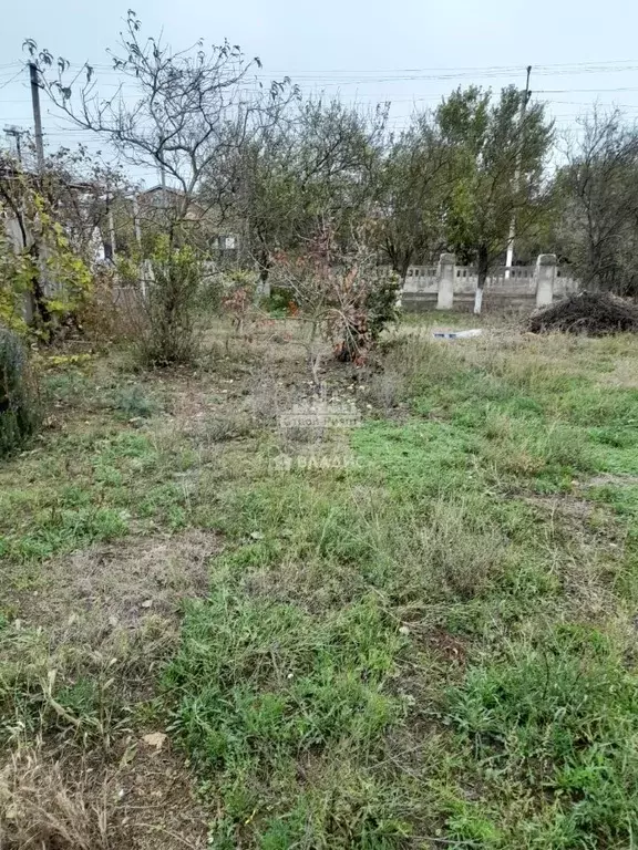 Участок в Крым, Ленинский район, Глазовское с/пос, с. Глазовка ул. ... - Фото 2