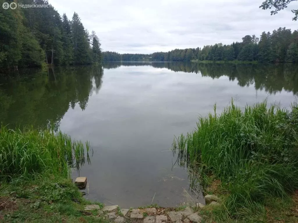 Дом в Выборгский район, Рощинское городское поселение, территория ... - Фото 0