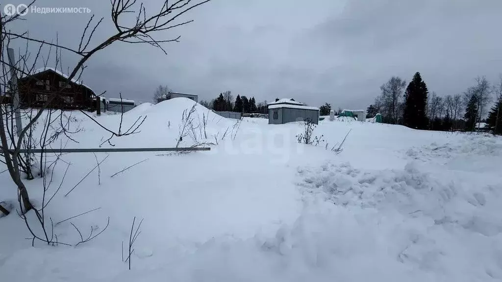 Участок в Пересвет, 1-я Лесная улица (12 м) - Фото 1