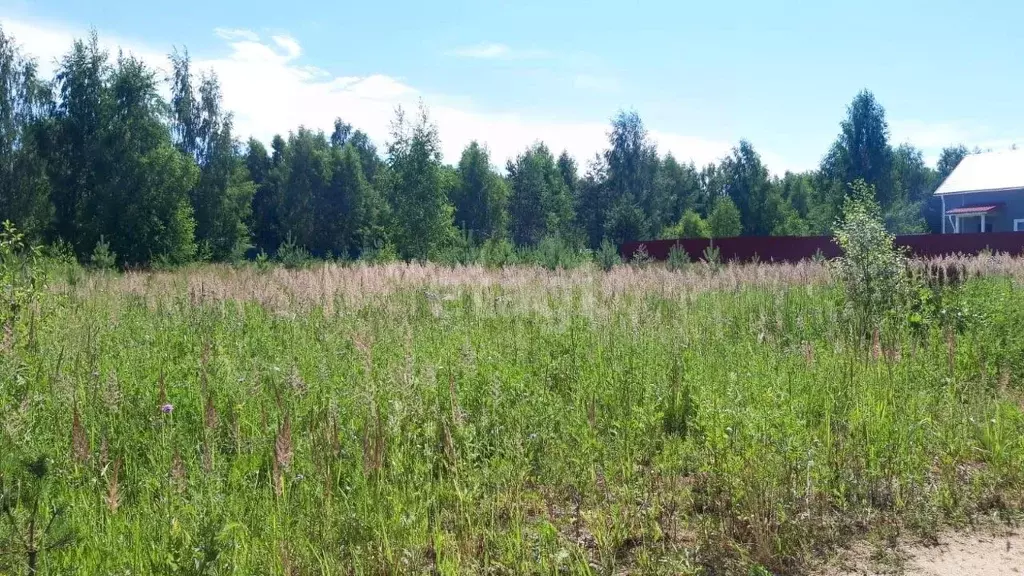 Участок в Ярославская область, Некрасовское с/пос, пос. Золотой Колос  ... - Фото 1