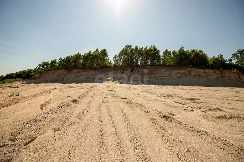 Участок в Амурская область, Благовещенский район, с. Кантон-Коммуна  ... - Фото 1