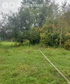 Участок в Иркутск, СНТ имени Максима Горького (10 м) - Фото 1